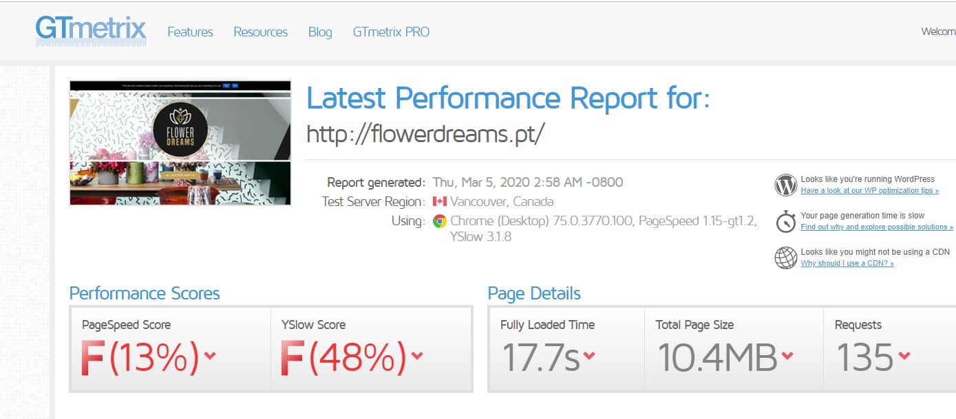 gt_flower1.jpg